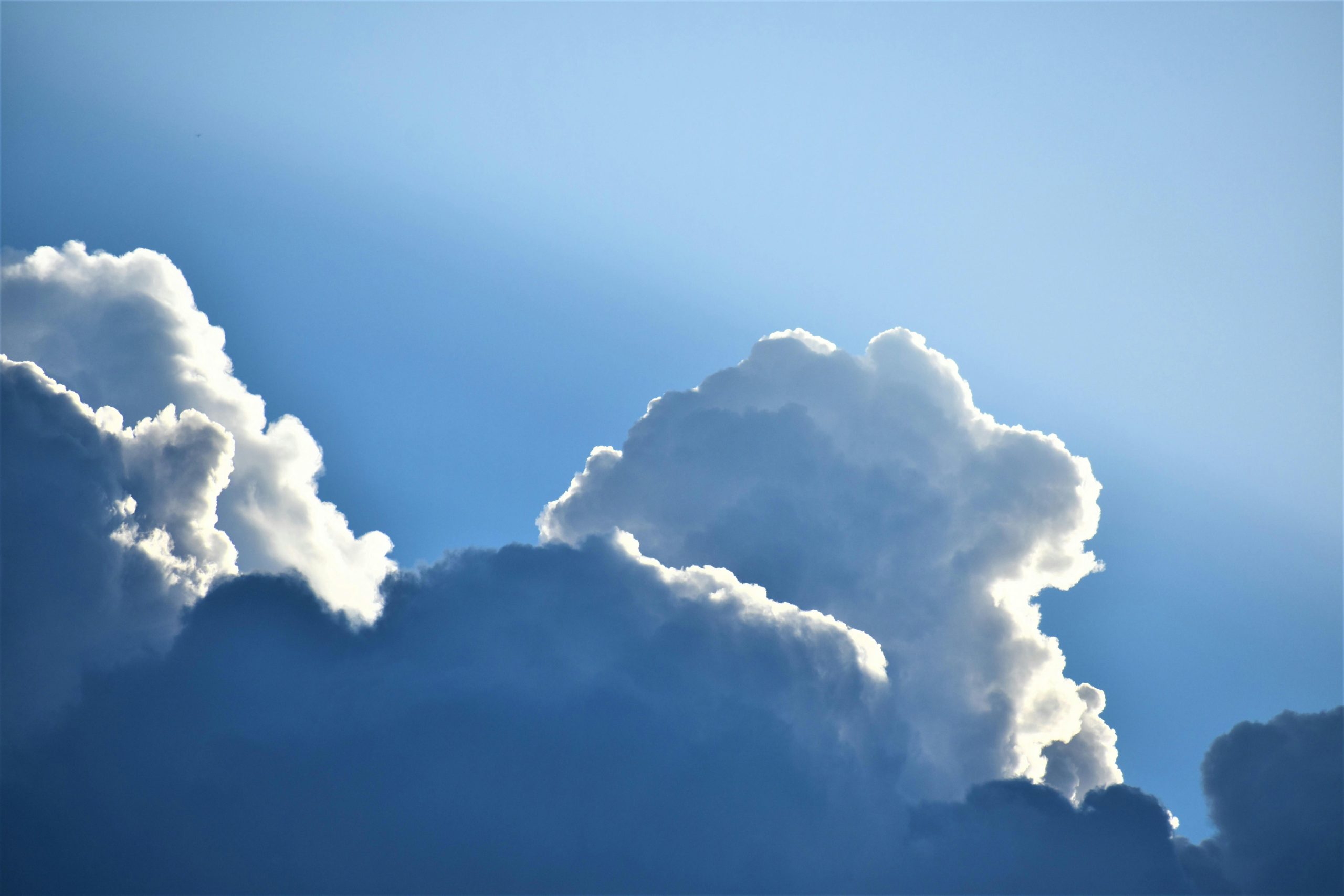 Cloud's End: The Forgotten Edge of Mussoorie Where the Forest Road Ends