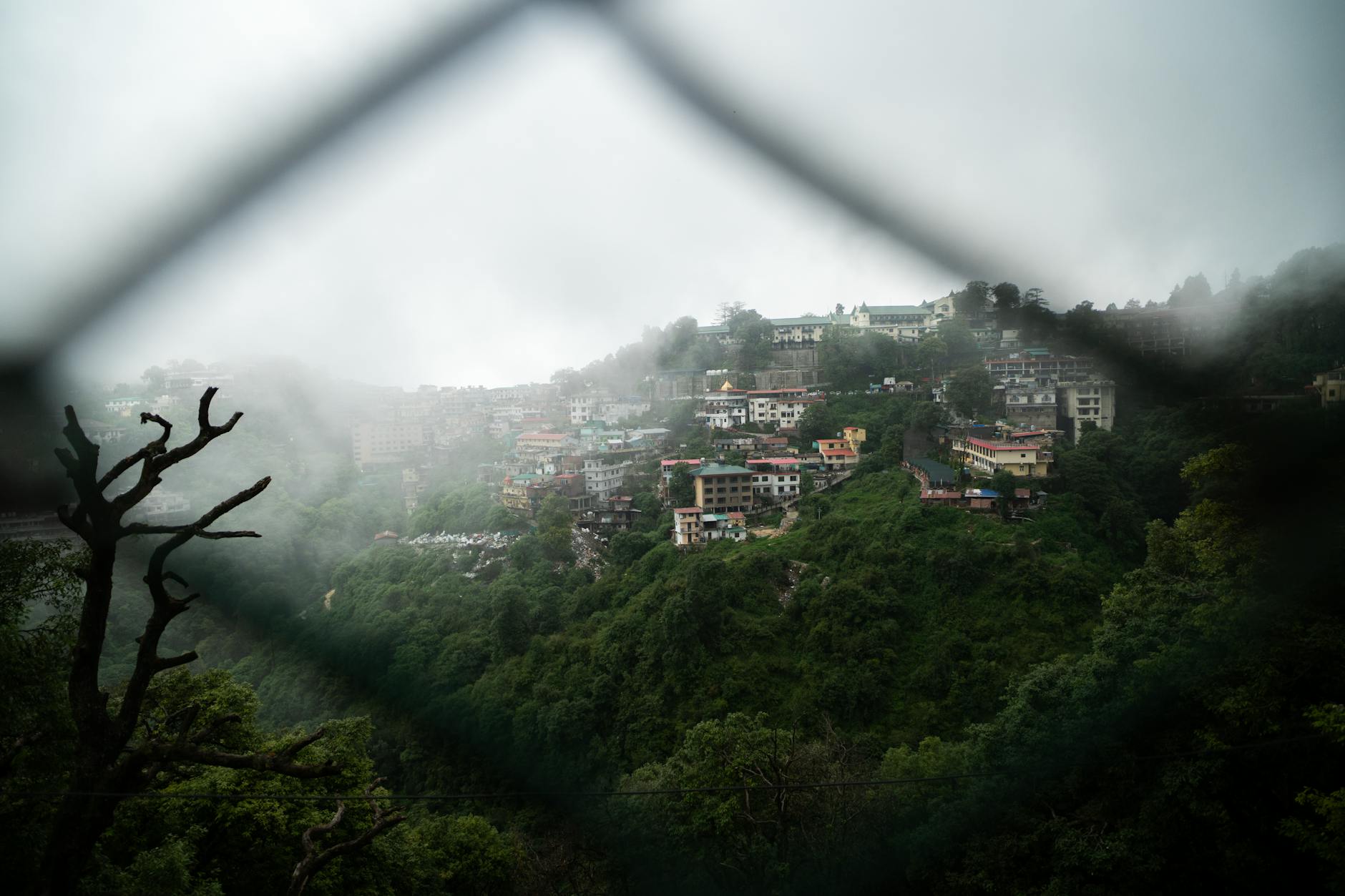 Mussoorie's Quieter Cantonment Neighbour Has Colonial Bakeries, Forest Trails, and Almost No Crowds — But Not for Long