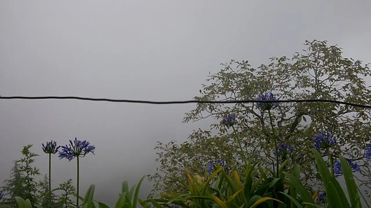 Cloud End Forest Resort Area Homestays - Mussoorie Travel & Tourism