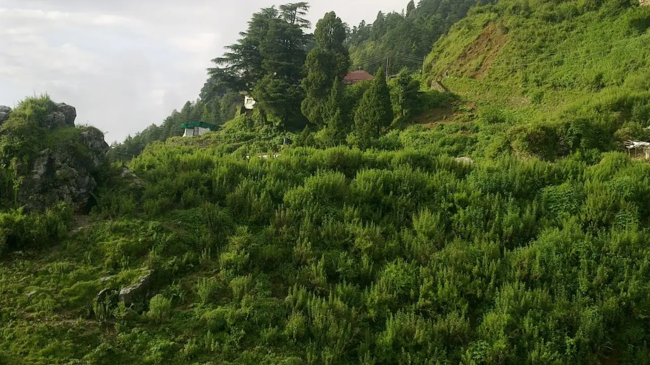 Landour Language School Guesthouse Area - Mussoorie Travel & Tourism