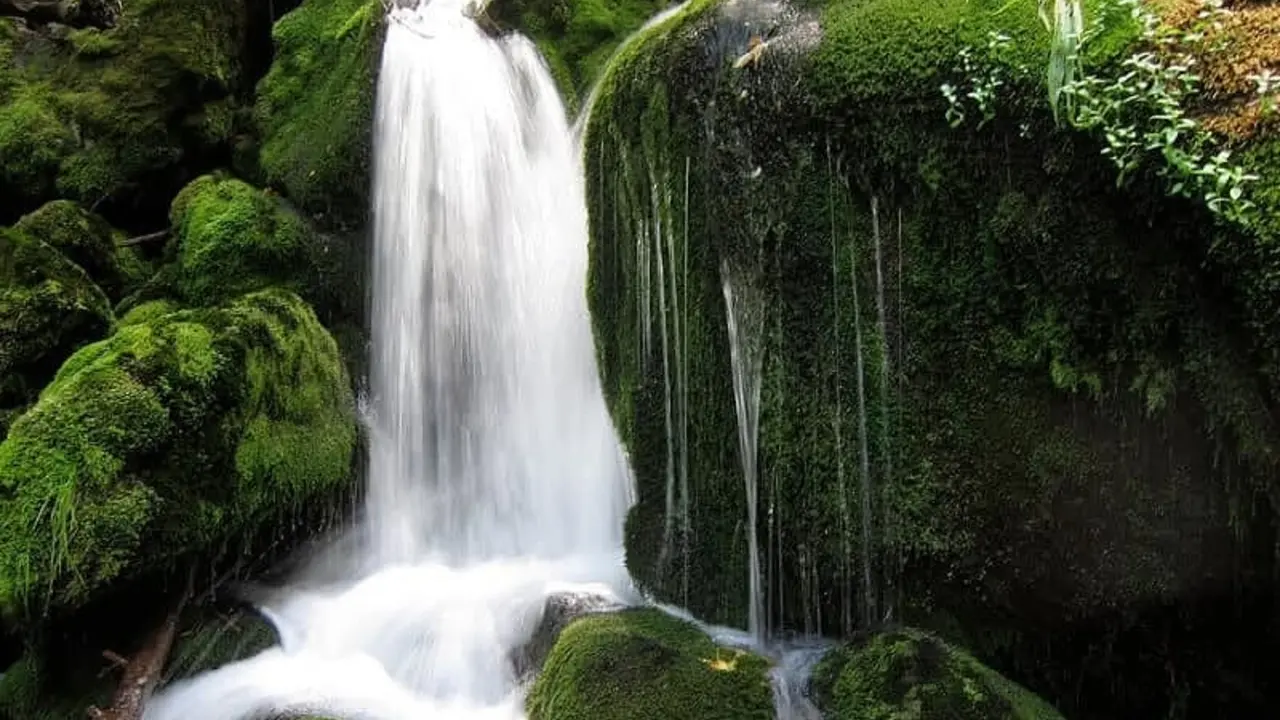 Mossy Falls, Barlowganj - Mussoorie Travel & Tourism
