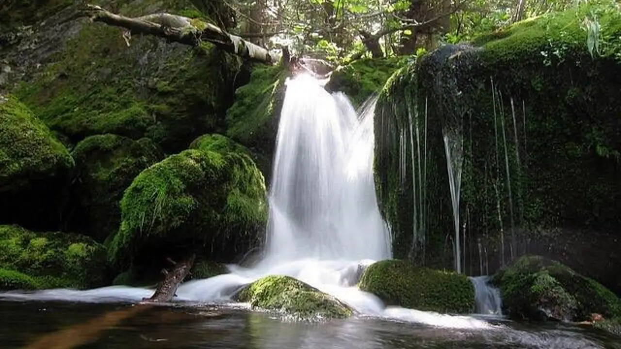 View of Mossy Falls